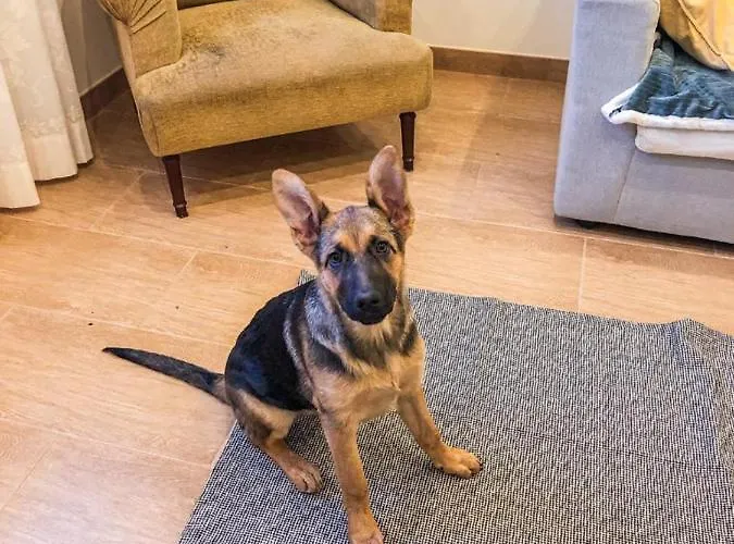 Nyaraló Casa Da Viela *