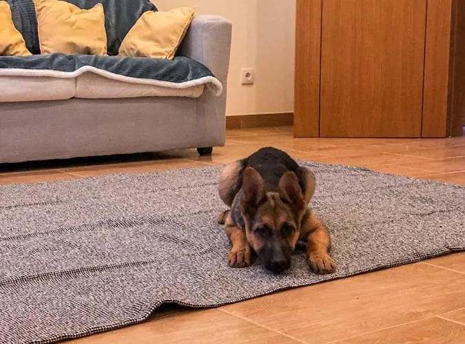 Nyaraló Casa Da Viela Arouca